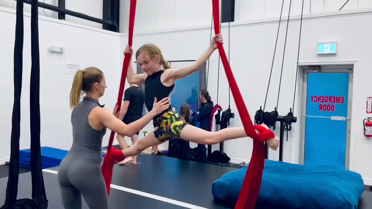 Aerial Silks, Hoop and/or Acrobatics Performance & Competitive Programs